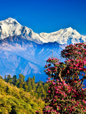 Nepal